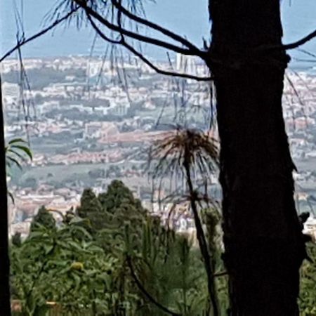 Finca La Casita La Orotava Eksteriør billede