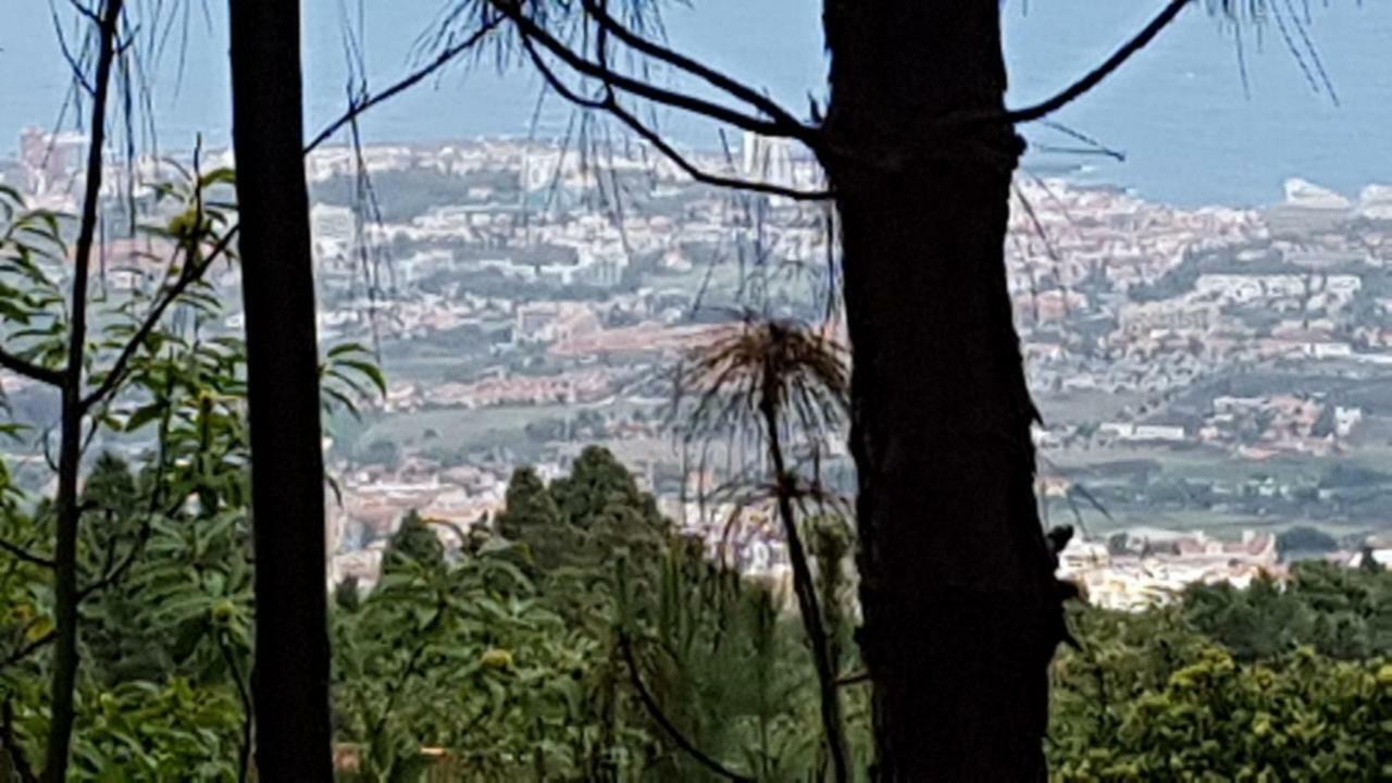 Finca La Casita La Orotava Eksteriør billede