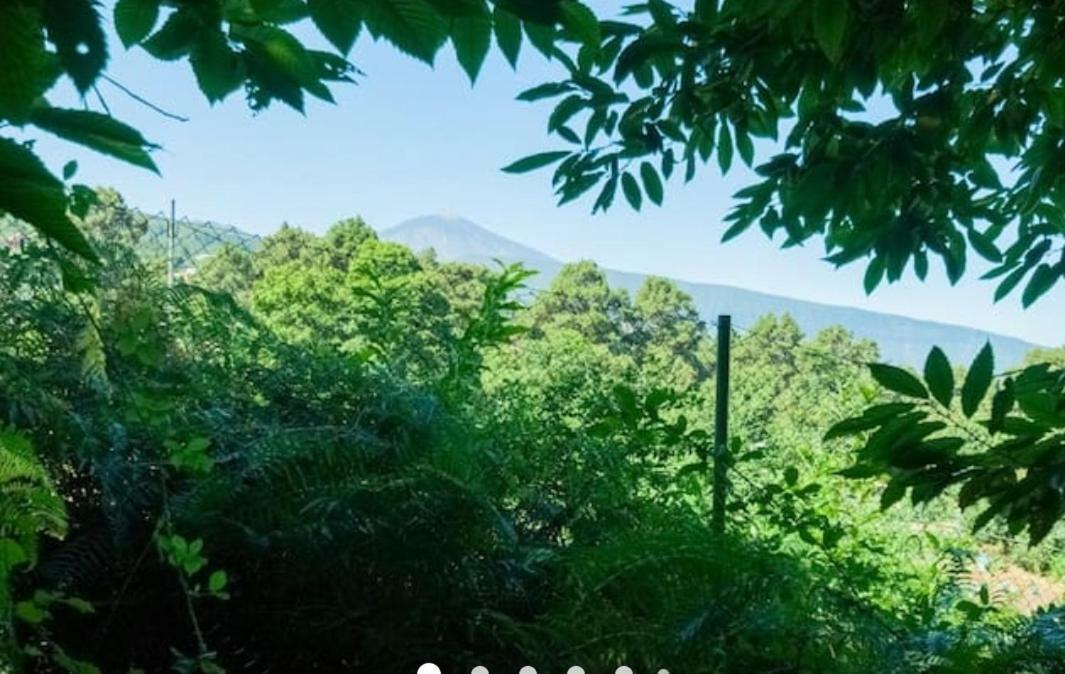 Finca La Casita La Orotava Eksteriør billede